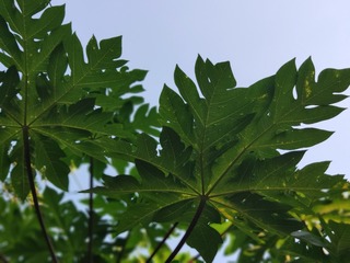 IMG_20240805_181435