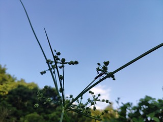 IMG_20240805_182144