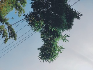 1655747