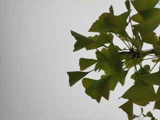 IMG_20240815_104211