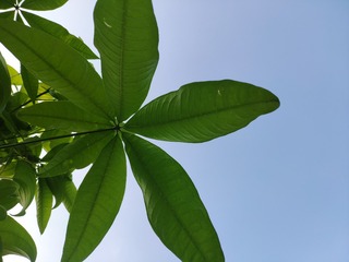 IMG_20240805_182214
