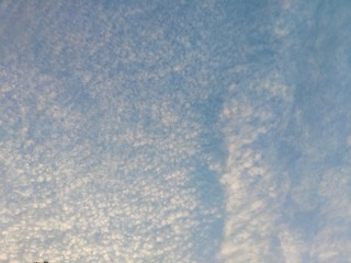 IMG_20240802_063135