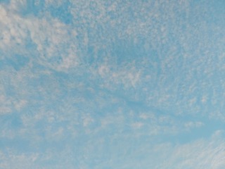 1655376