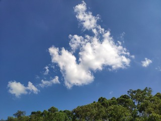 1655581
