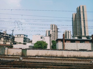 1656623