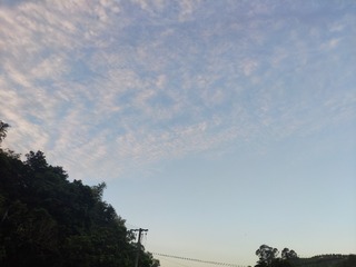IMG_20240802_063111