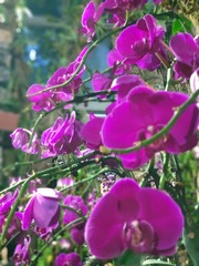 IMG_20240810_193450