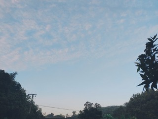 1655369