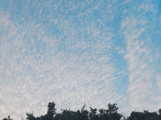 1655374
