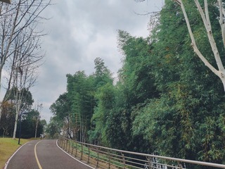 1682087