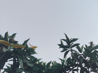1655654