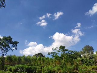 1655587