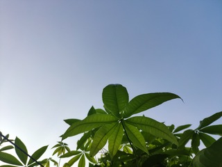 IMG_20240805_182205