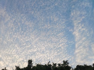 IMG_20240802_063131