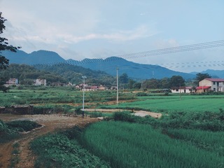 1657003