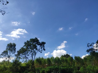 1655591