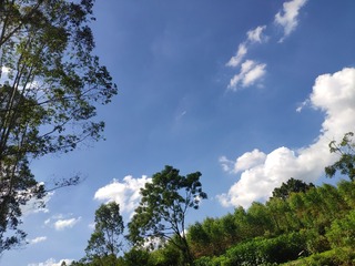 1655589