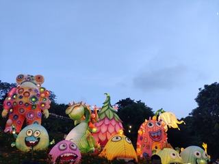 IMG_20240810_191841