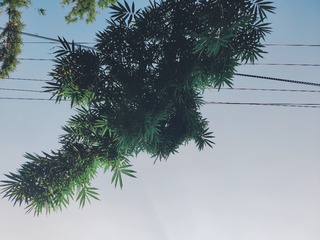1655744