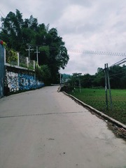 1655086