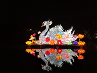 IMG_20240810_200200
