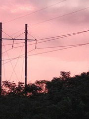 1000002618