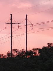 1000002619