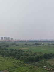 1000207344