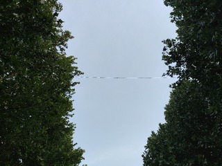 1000270227