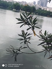 1658901