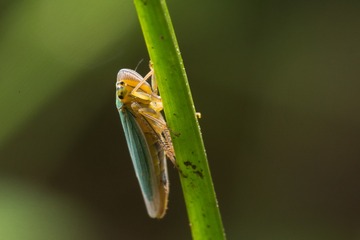 20180502-DSC00195
