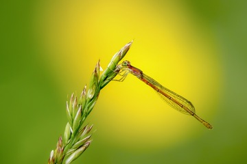 20180502-DSC05092