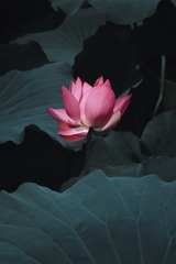 001