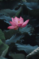 001