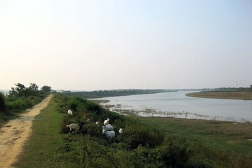 IMG_4166opt.jpg
