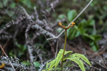 IMG_8441.jpg