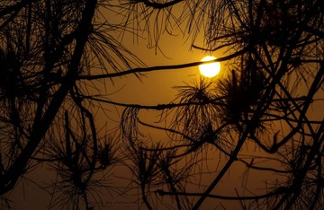 IMG_8401.jpg