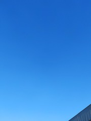 1544038