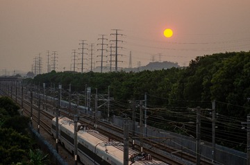 1000148408