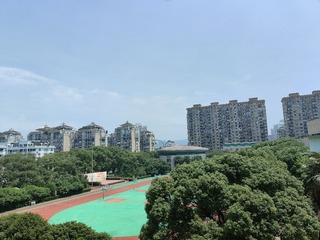 1000003167