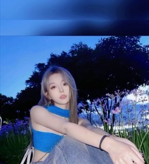 19081