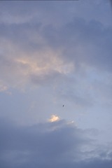 106831