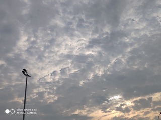 2016244