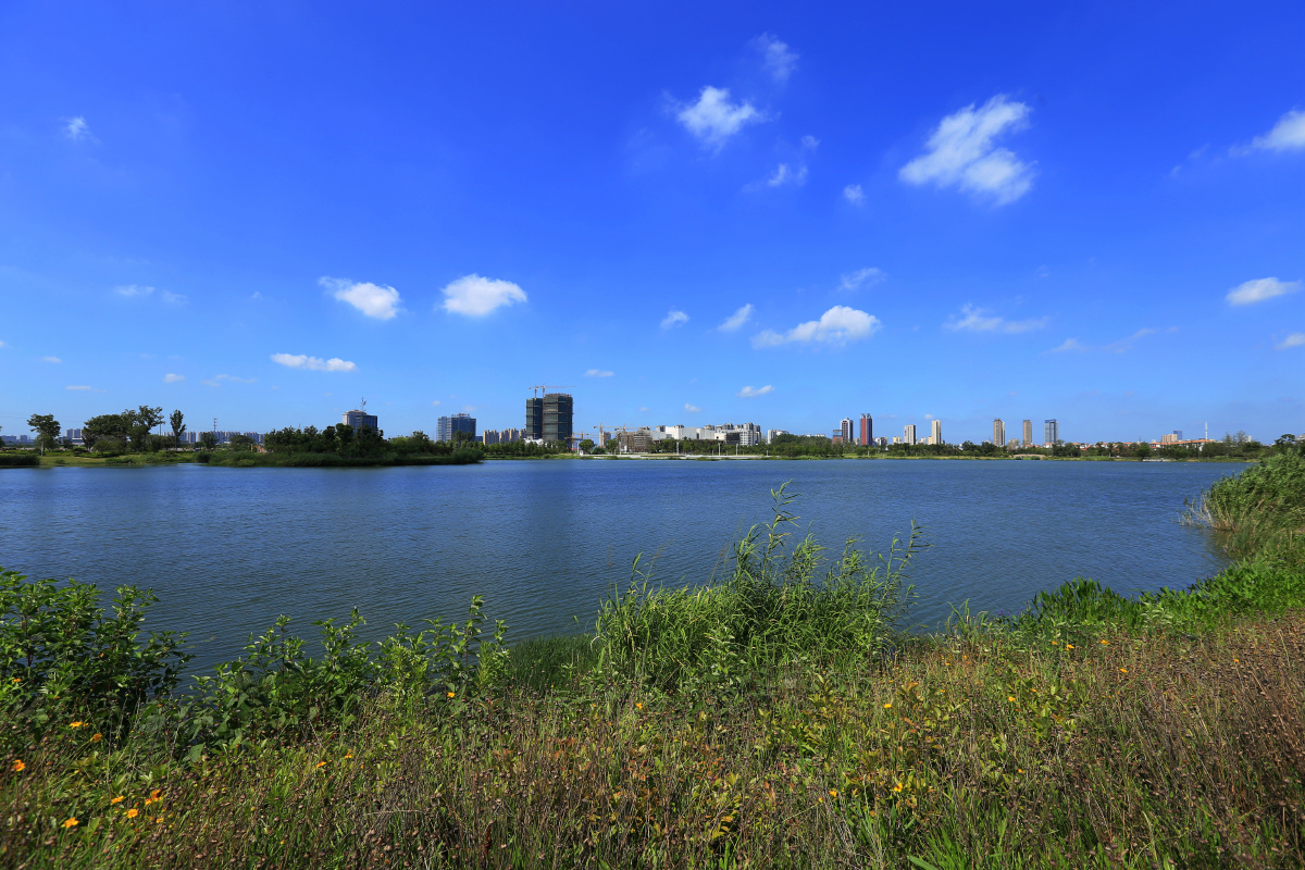 城市公园
