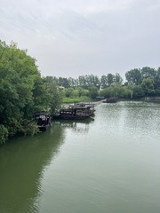 1981
