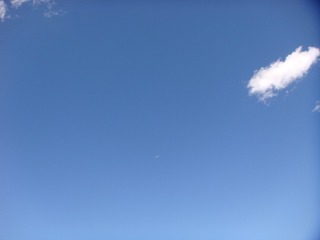 1000113588