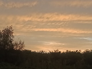 1000002395