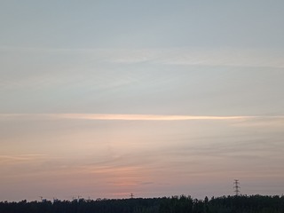 1000002390