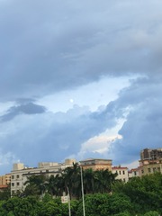1000081560