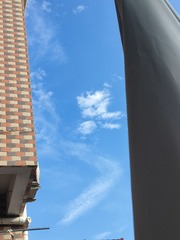 1000081612